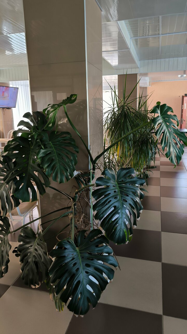 Гостиница Адмирал Небуг-139