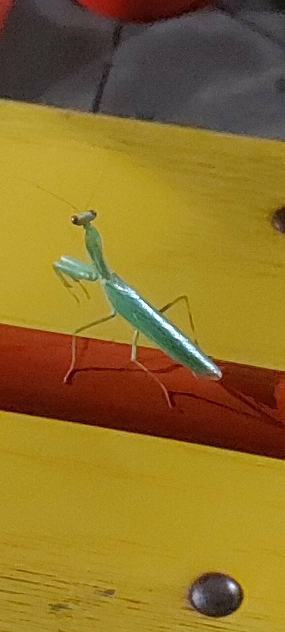 Гостиница Адмирал Небуг-131