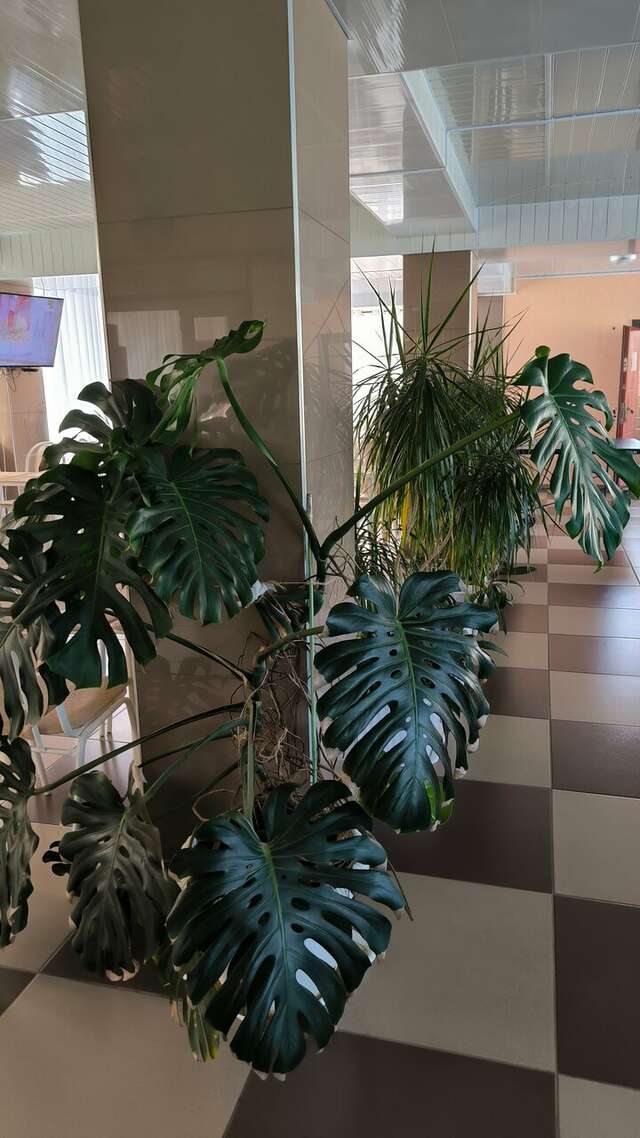 Гостиница Адмирал Небуг-138