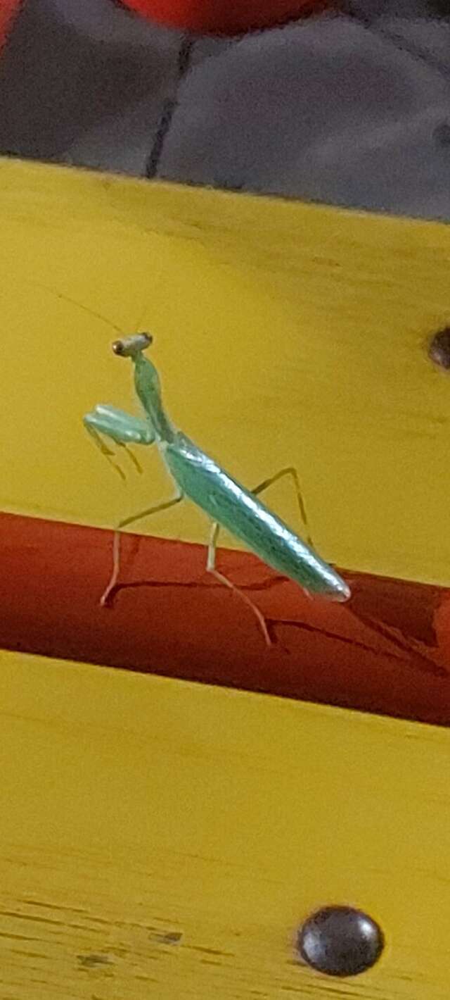 Гостиница Адмирал Небуг-130